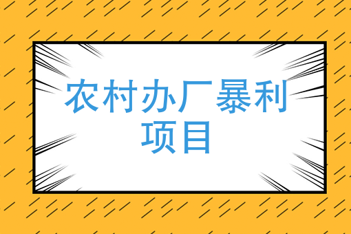 农村办厂暴利项目