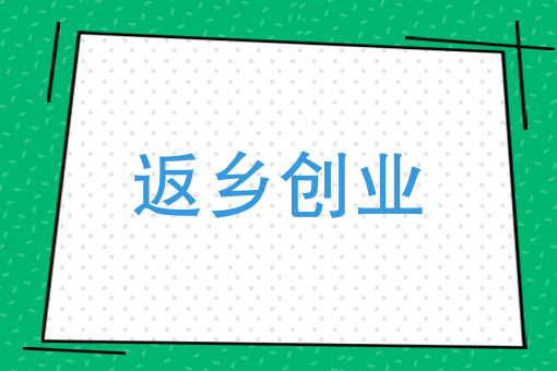 草根大學生如何把握趨勢創業賺錢？看月光飽盒的故事