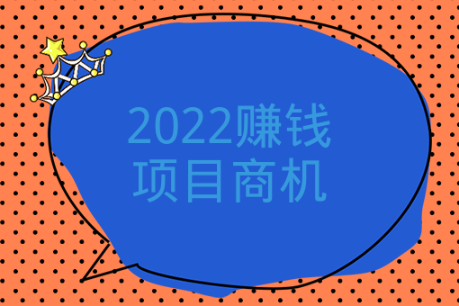 2022賺錢項目商機