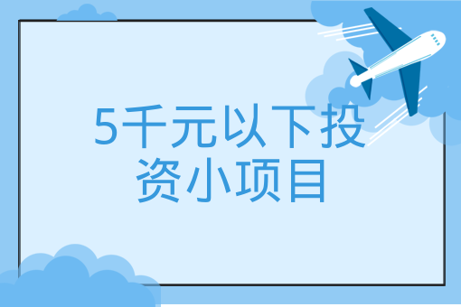 5千元以下投資小項目