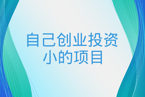 自己創業投資小的項目